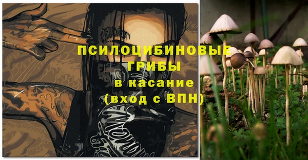 синтетический гашиш Богородицк