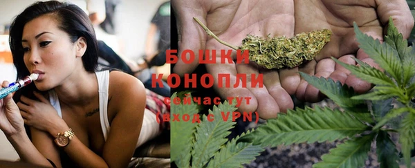 ешки Бронницы