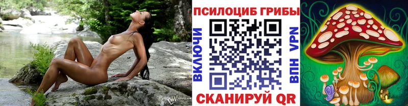 Псилоцибиновые грибы ЛСД  цены наркотик  маркетплейс клад  Могоча 